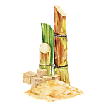 Сироп Сахарный Тростник